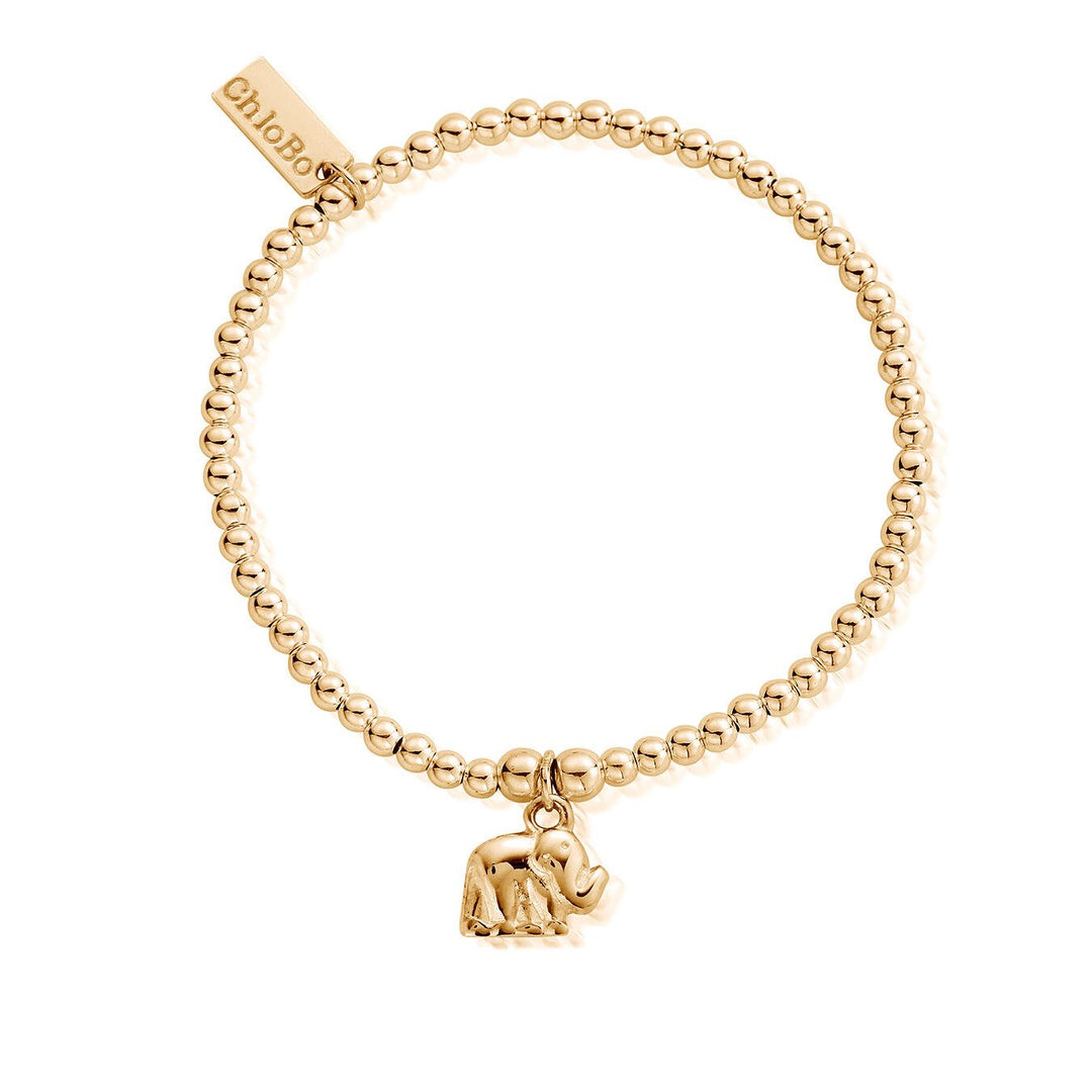 ChloBo Gold Cute Charm Elephant Bracelet - MococoChloBoGBCC4060784862040113Bracelets