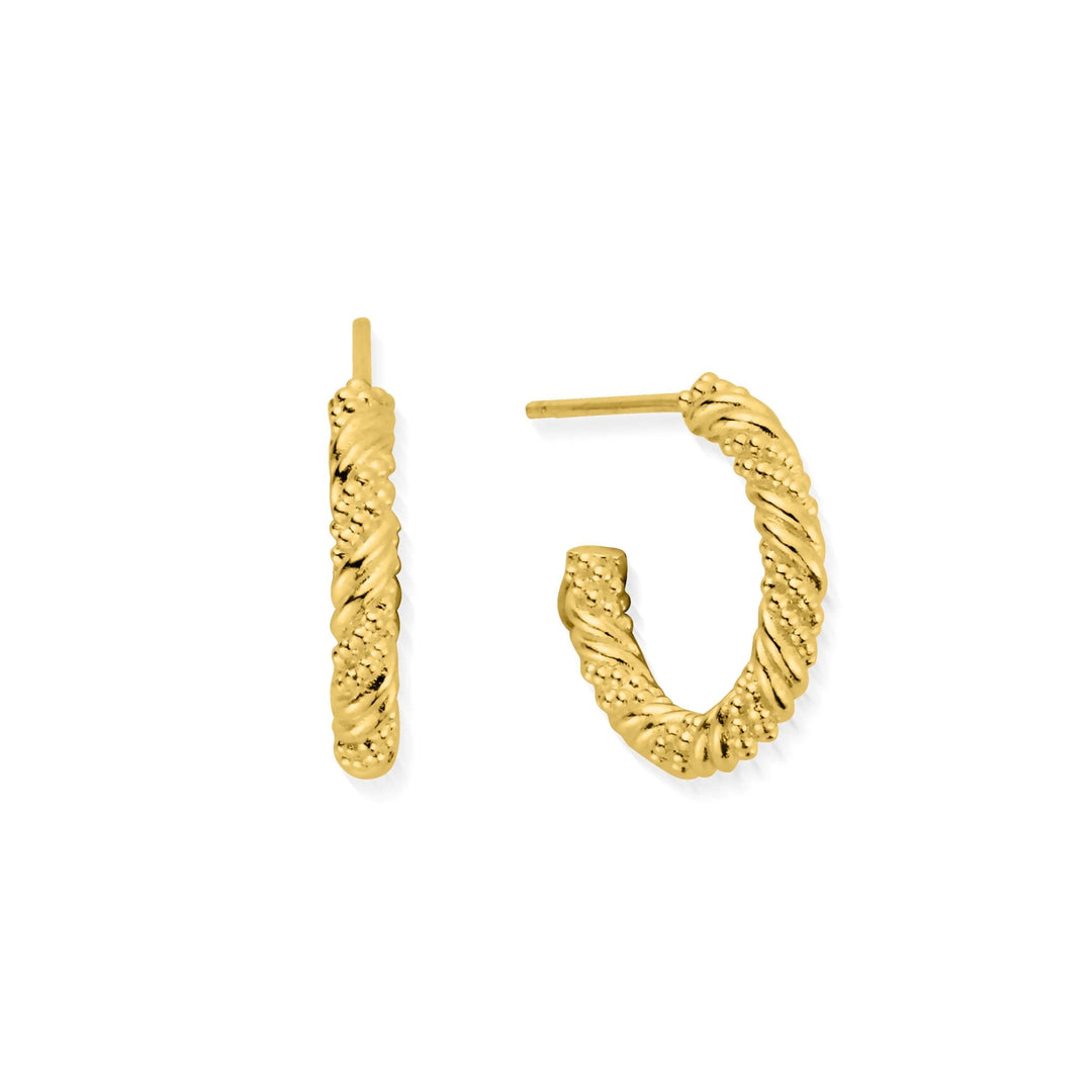 ChloBo Gold Entwined Passion Hoops - MococoChloBoGEH32099501318128468Earrings