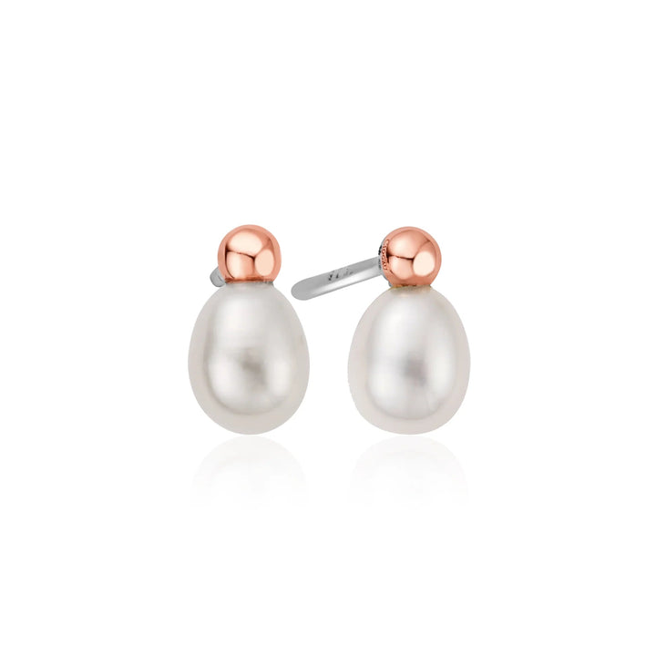 Clogau Welsh Beachcomber Pearl Stud Earrings - MococoClogau3SBCH06325051537372738Earrings