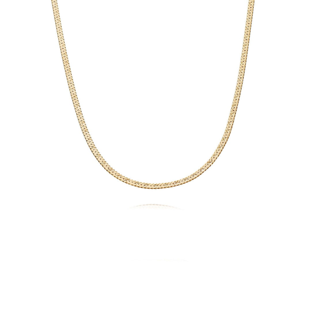 Daisy London 18ct Gold Estee Lalonde Snake Chain Necklace - MococoDaisy LondonELN08_GP5056104123478Necklaces