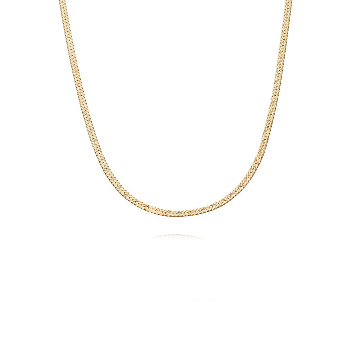 Daisy London 18ct Gold Estee Lalonde Snake Chain Necklace - MococoDaisy LondonELN08_GP5056104123478Necklaces