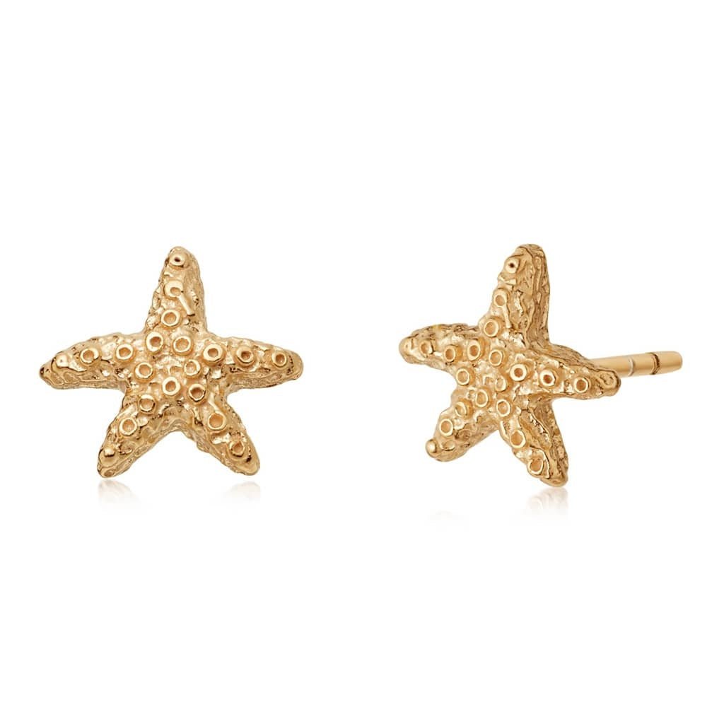 Daisy London 18ct Gold Plate Isla Starfish Stud Earrings - MococoDaisy LondonSE08_GP5056104104590Earrings