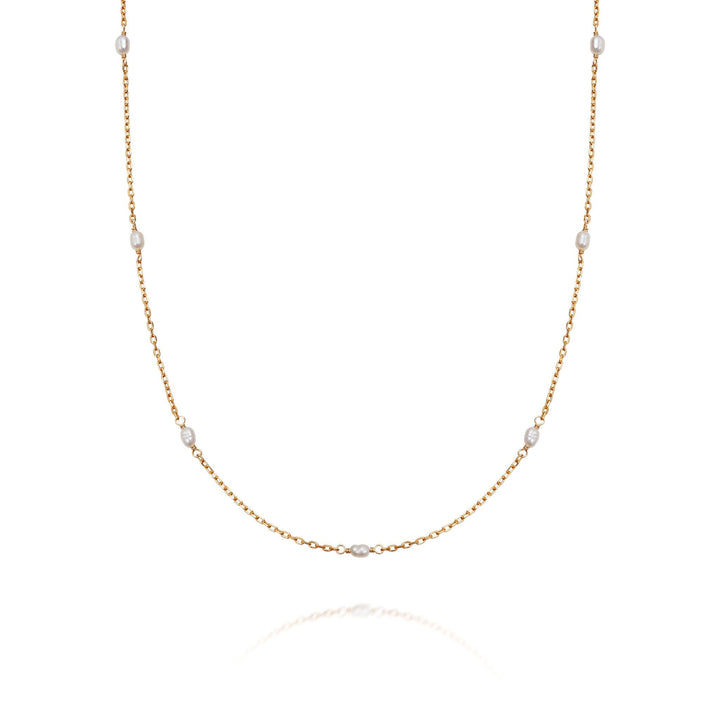Daisy London 18ct Gold Plate Treasures Seed Pearl Chain Necklace - MococoDaisy LondonTN05_GPNecklaces
