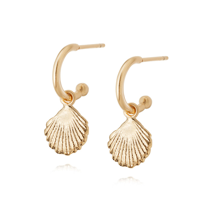 Daisy London Shell Drop Gold Earrings