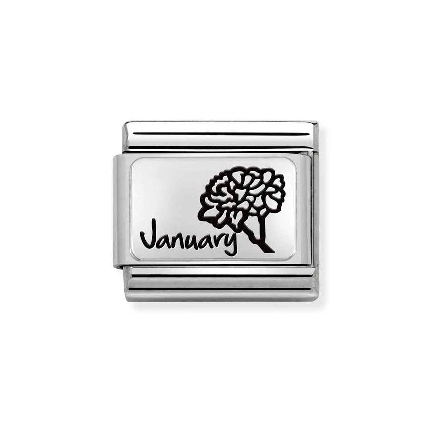 Nomination Classic Silver Birth Month Flower Charm - MococoNomination330112/138033497510686Charms and Links